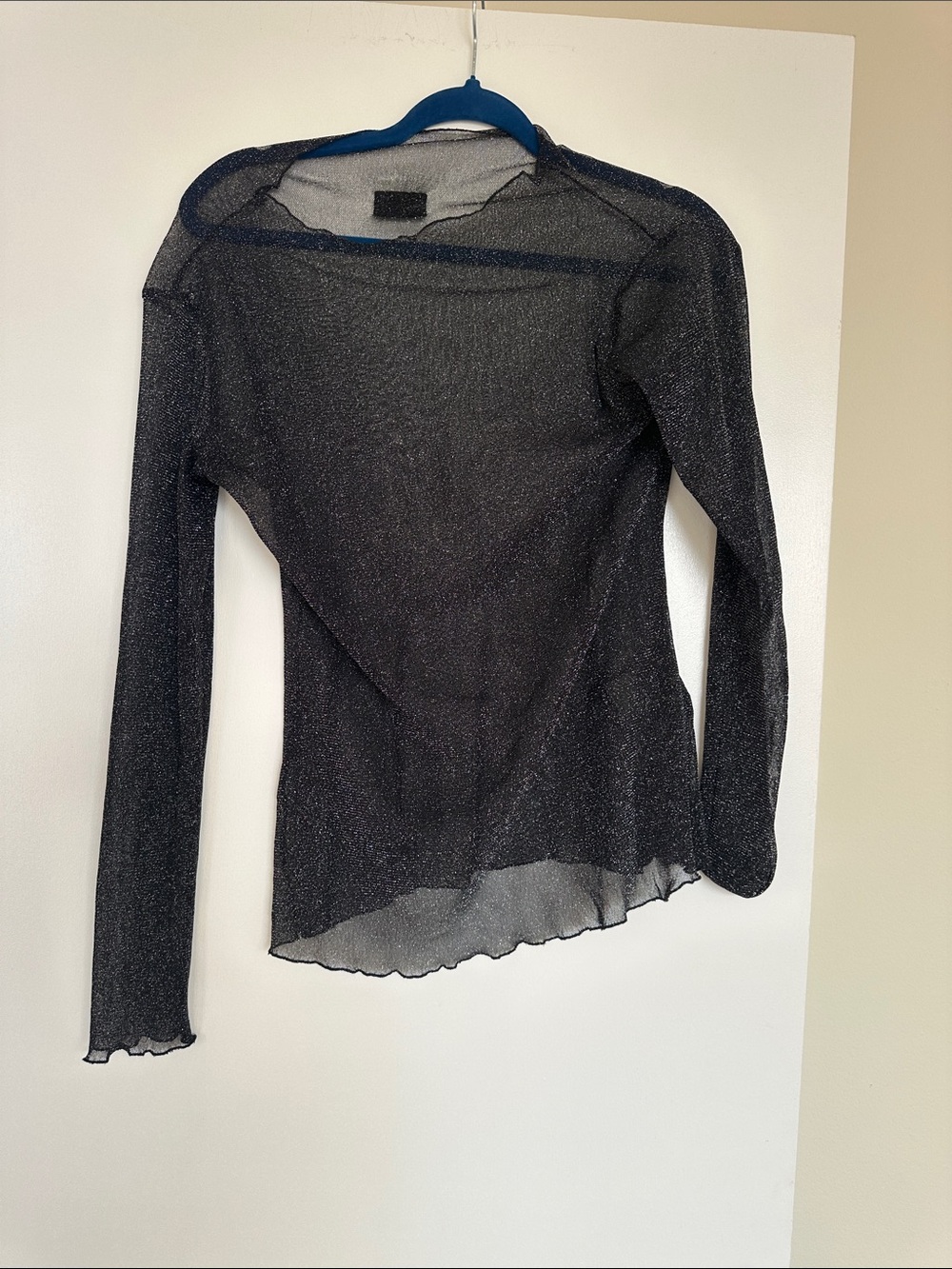Sheer Sparkle Long-Sleeve Women's Top - Black